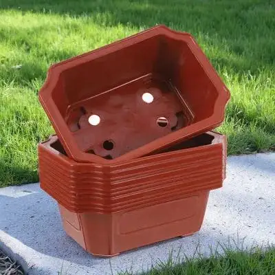 

10 Pcs Bonsai Pot Lightweight Practical Planting Container for Garden Succulent Herbs Cactus Plants Plastic