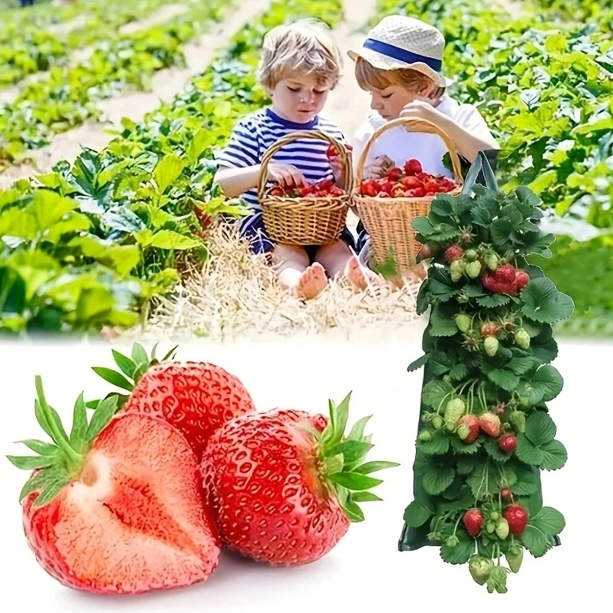 Multi-function Hanging Strawberry Grow Bag Upside Down Planter Tomato Potato Vegetable Flower Plant Grow Bags Garden Decoration