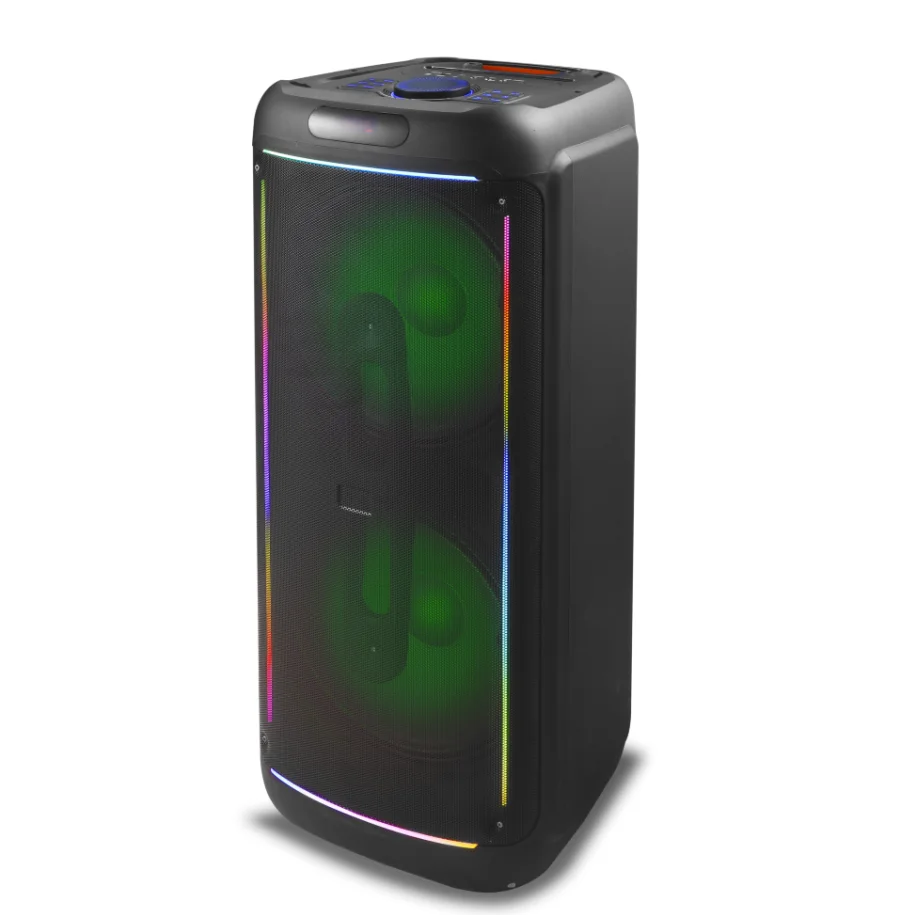 200W Big Power Dual 15 Inch Big Bass Heavy Weight Strong Boombox RX-15208