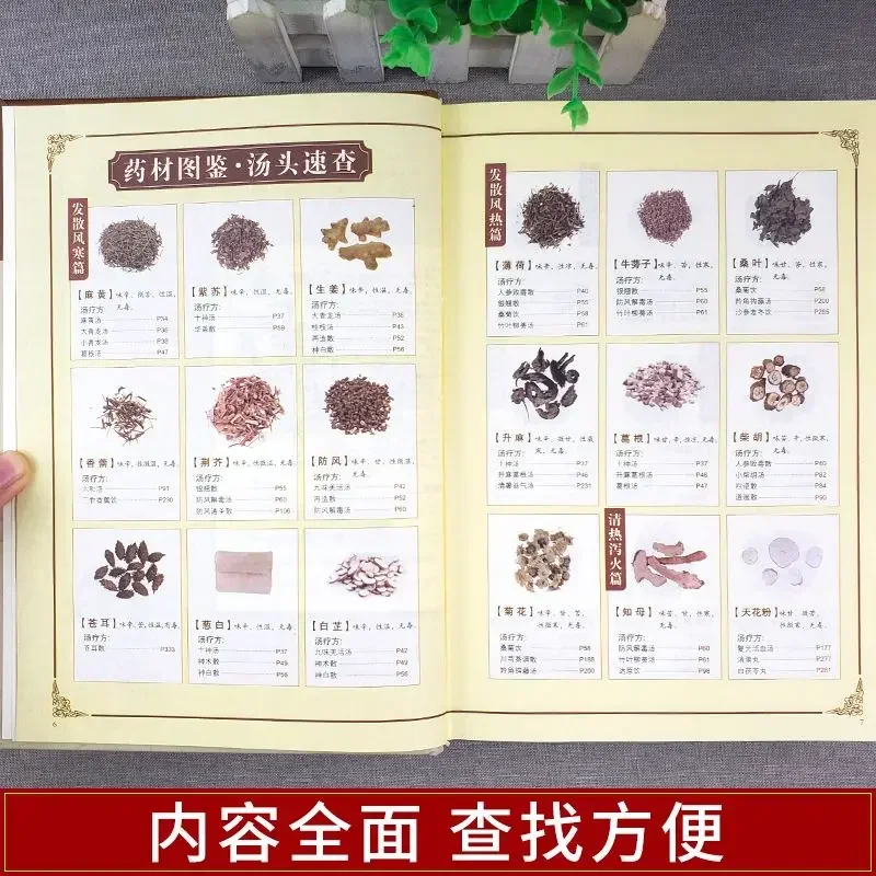 Complete Explanation of The Soup Formula, Full-color Pictures and Text, TCM Health and Recuperation Secrets Theory Books