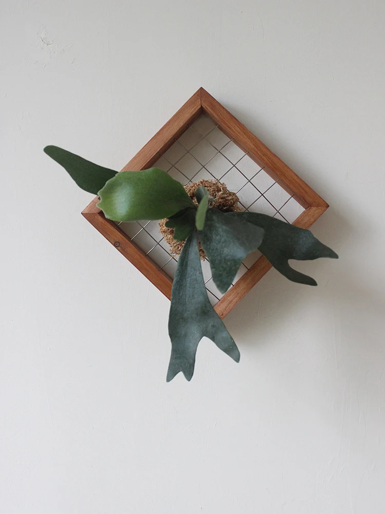 Handmade Wooden Frame Fern Plant Wall Deer Antler Fern Decorative Hanging Board Easy to Maintain een Plant Living Wall Art