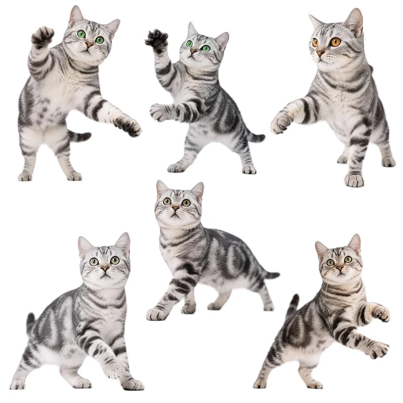 Three Ratels CFN120 Lively cat wall stickers for home decoration Cute car decals