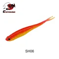 SH06