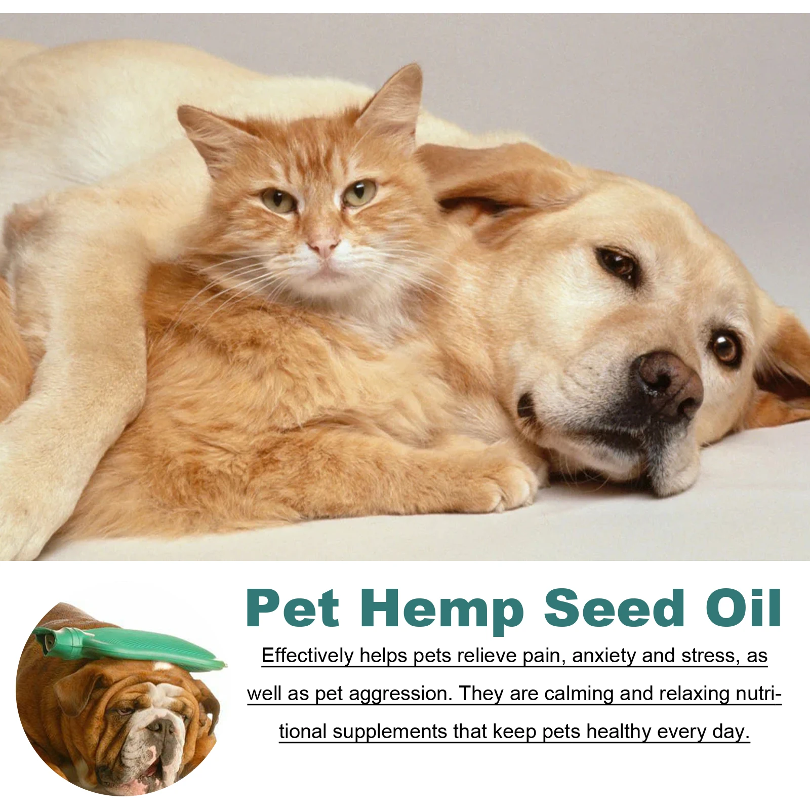 Yegbong Pet Hemp Seed Oil,Pain Relief For Cats&Dogs,Physical Enhancement-Relieving Stress Without Eating Anorexia Essential Oil