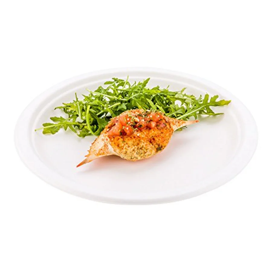 Pulp Tek 10.3 Inch Eco-Friendly Plates 100 Large Disposable Dinner Plates - Made From Natural Sugarcane Fibers Heavy-Duty White