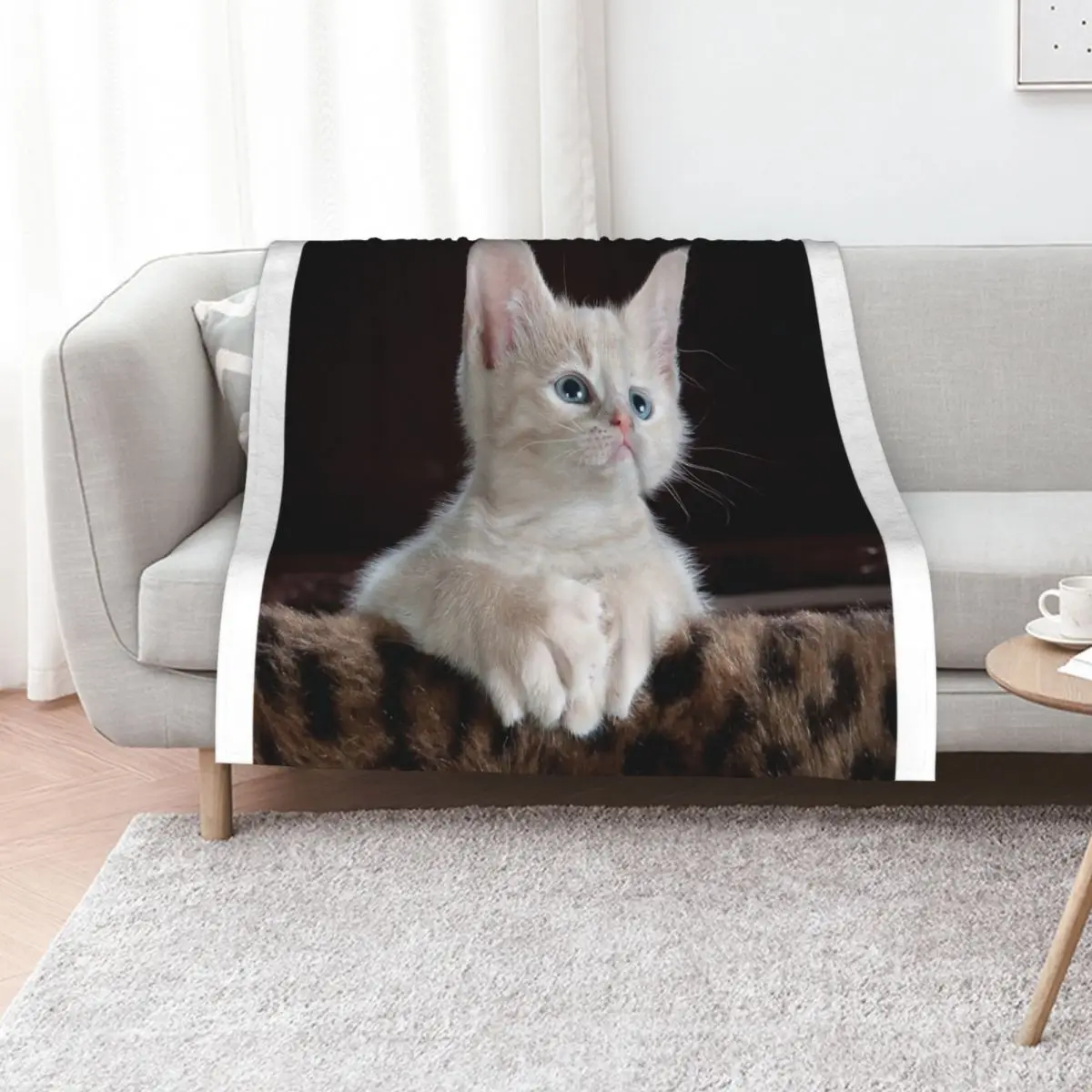 

Cute Cat Throw Blanket Nap blankets ands Luxury Brand Furry Blankets