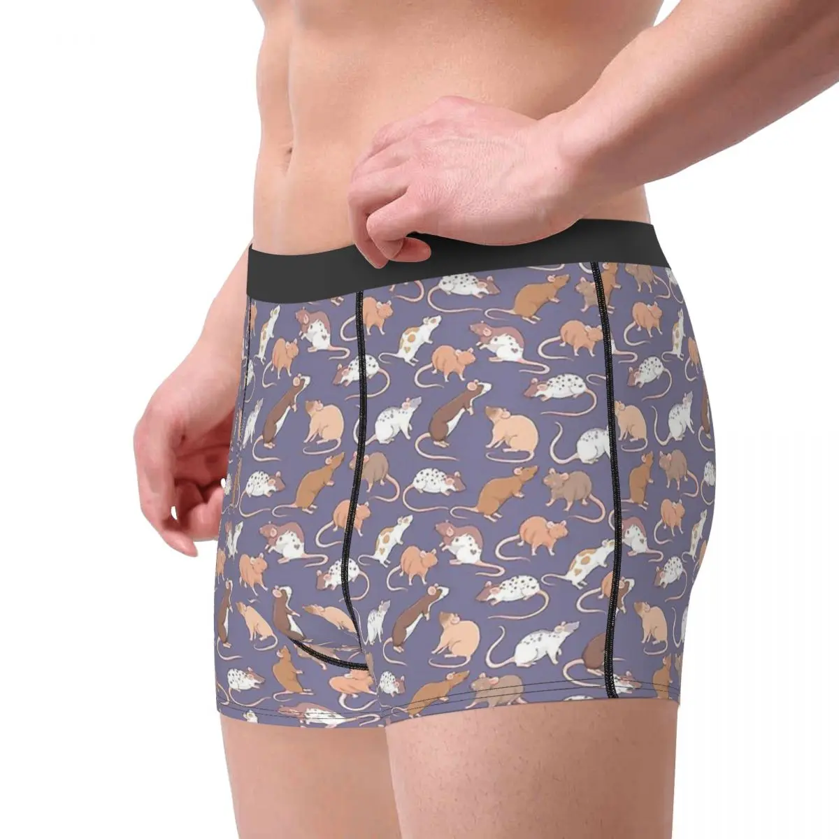 Rattie Rats Against A Slate Whimsicolourart Guinea Pig Cavia Porcellus Underpants Panties Men's Underwear  Shorts Boxer Briefs