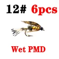 Wet PMD