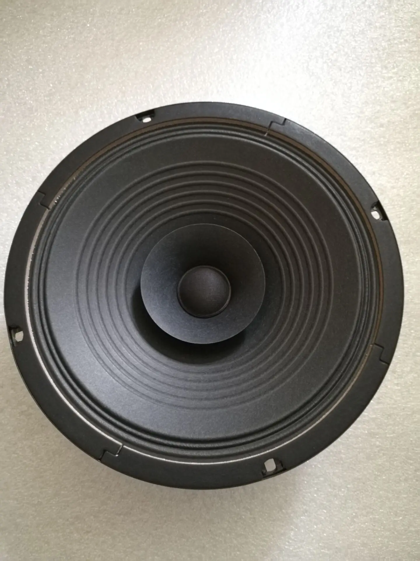 

Ten-inch full-range speaker, 10-inch double paper basin, one paper to the side, high sensitivity