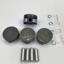 55571126 High Quality Auto Parts Engine Piston Set Assembly 55571126 For Chevrolet Cruze 1.6T