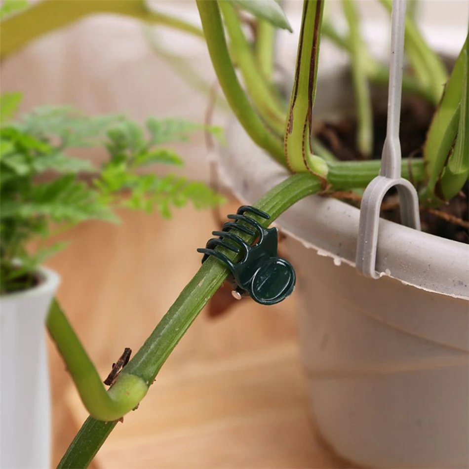 Clips de Support de plante en plastique, 100 pièces, pour tige d\'orchidée, pour Support de vigne, légumes, fleur, faisceau, serrage de branche,