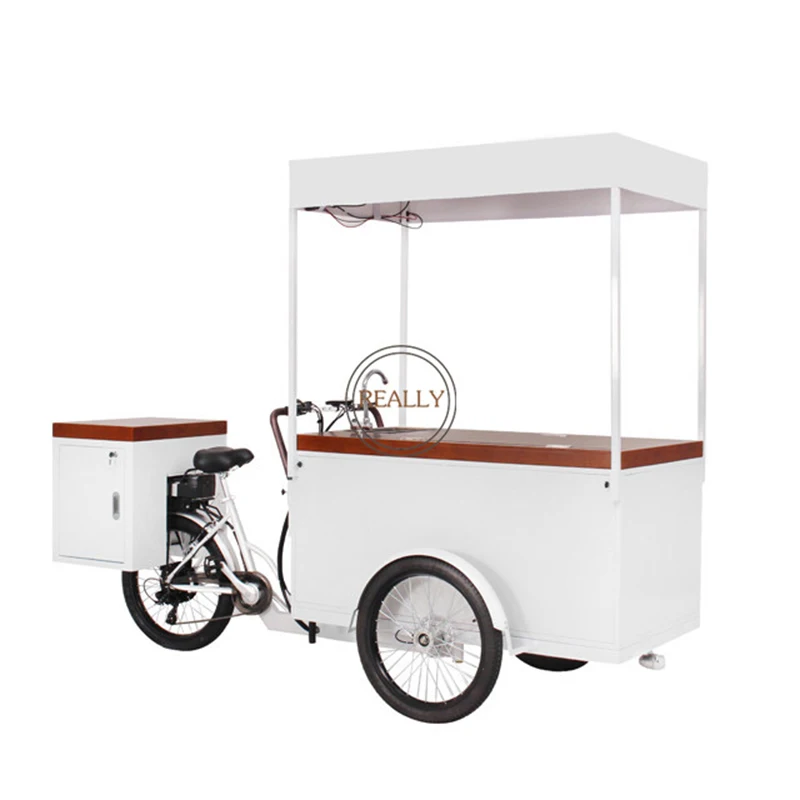 Adult Ice Cream Food Cart Electric Cargo Bike Street Freezer Tricycle with Solar Panel