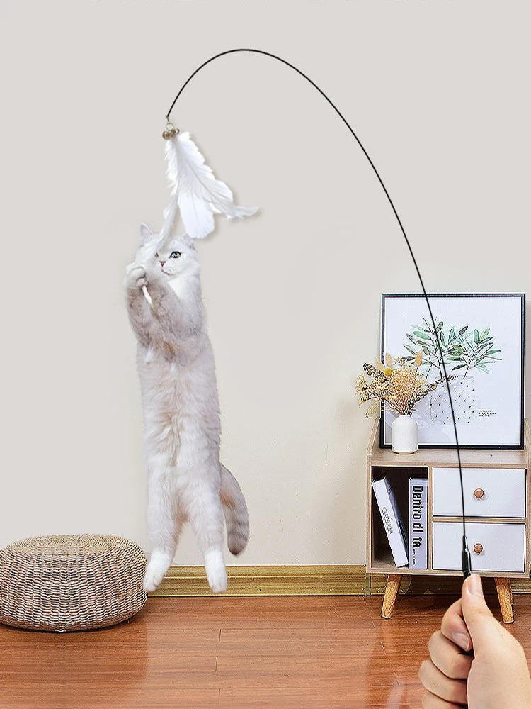 Neuer Leistungsstarker Katzen-Spielstab mit Glocke, Langer Stab, Abnehmbares Katzenspielzeug, Amazon Haustierbedarf – Detail 14