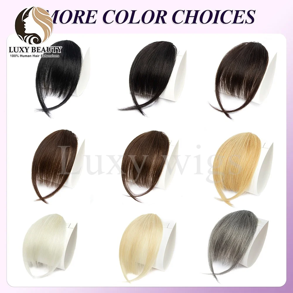 Blonde Hair Clip in Bangs Fringe with Temples Wispy Bangs French Bangs for Women Black Brown Gray Hair Bangs Daily Use
