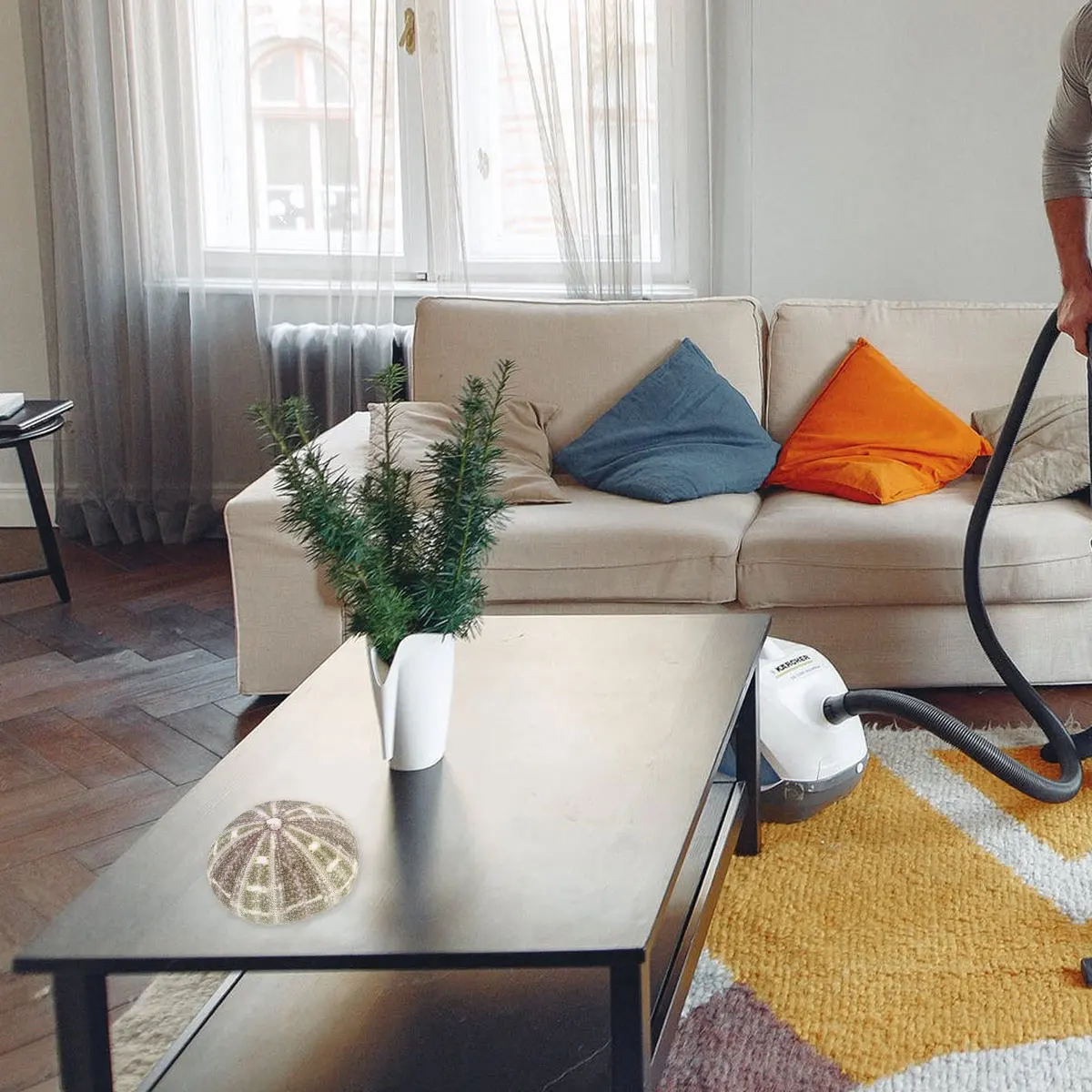 

2Pcs Sea Urchin Shells Creative Mini Planting Holder Natural Shell Material Portable Elegant Design for Balcony Dining Table