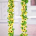 5pcs