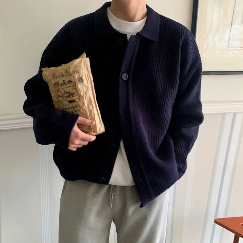 WTHT ファッション 2025 夏メンズソリッドカラーテクスチャラペルニットセータートレンディな長袖シングルブレストプルオーバー男性 2A0807