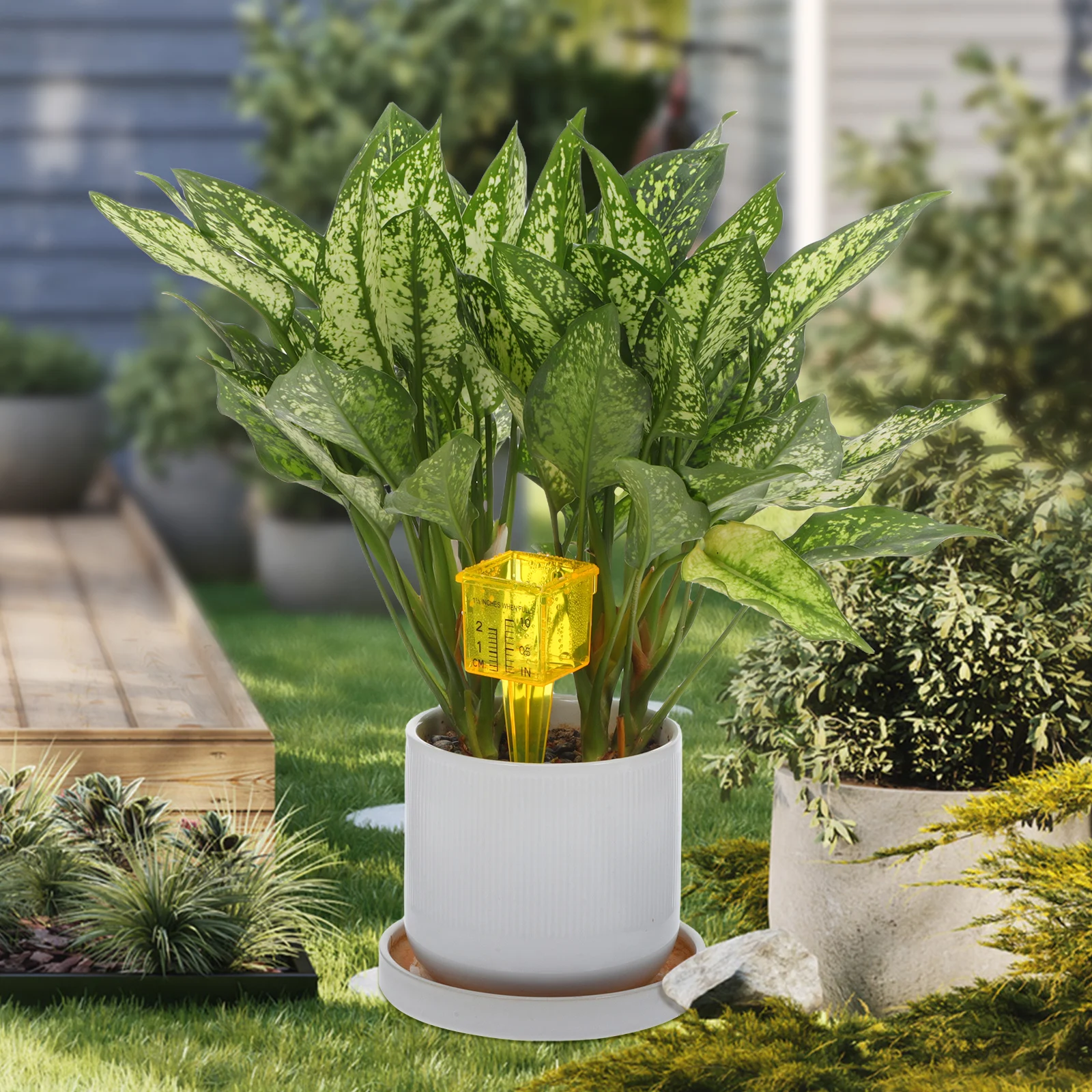 

3Pcs Outdoor Plastic Rain Gauge Rainfall Meter for Garden Lawn Accurate Water Measurement Rainfall Measurement