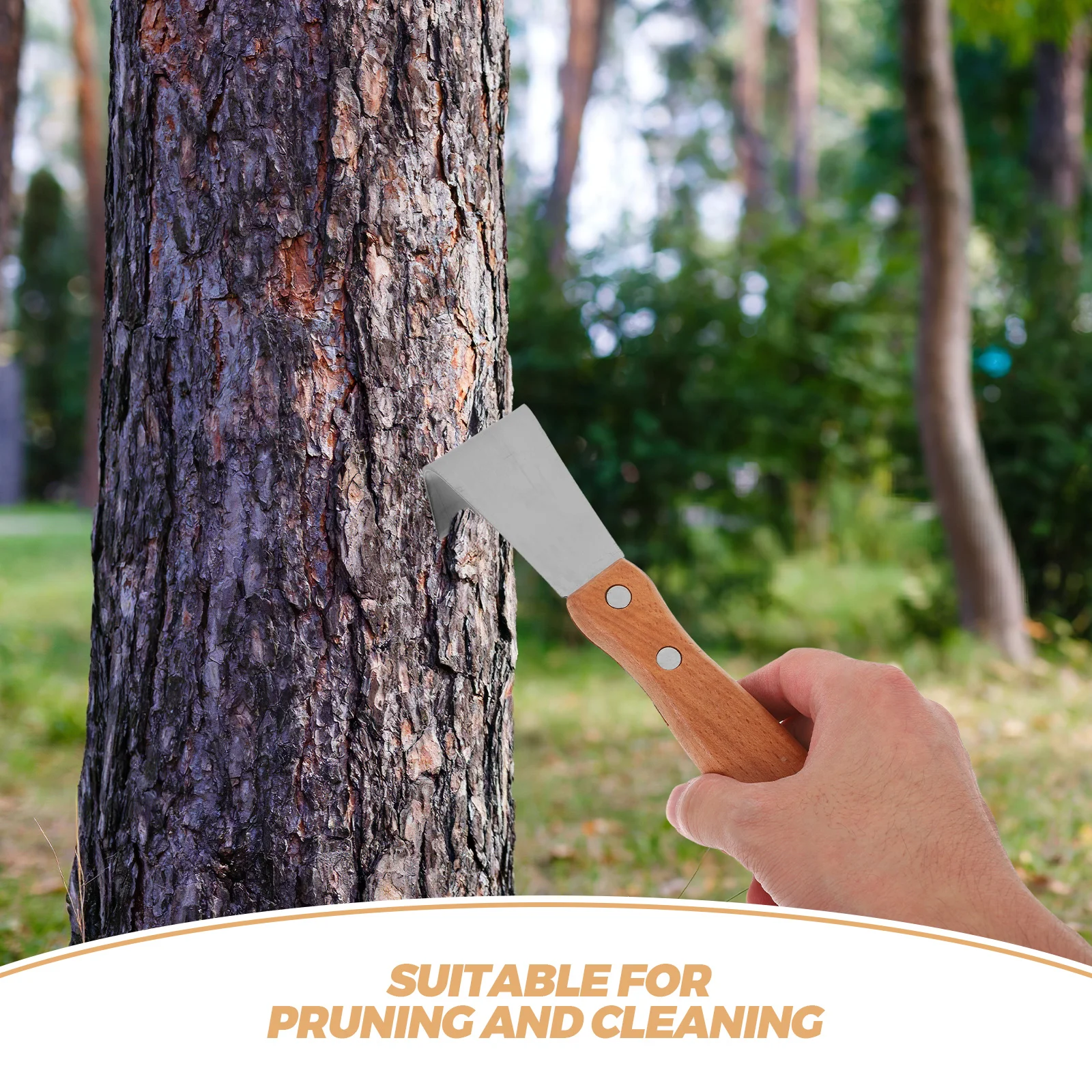 4Pcs Tree Bark Scraper Tool Ergonomic Handle Forged Blade for Fruit Tree Bark Removal Pruning Gardening Hand Instrument