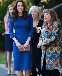 Elegante Blaue Kurze Mutter der Braut Kleid Kate Middleton Prinzessin Frauen Gast Für Hochzeit Party Kleider Langarm