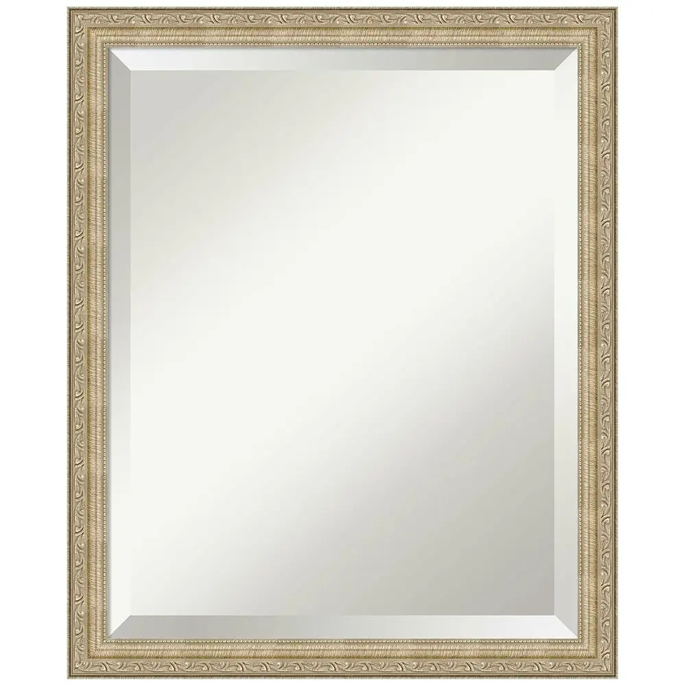 

Champagne Wall Mirror 22X18 Paris Champagne Rec Bathroom Mirror For Wall Decor Living Room, Small Traditional Frame, Hangs