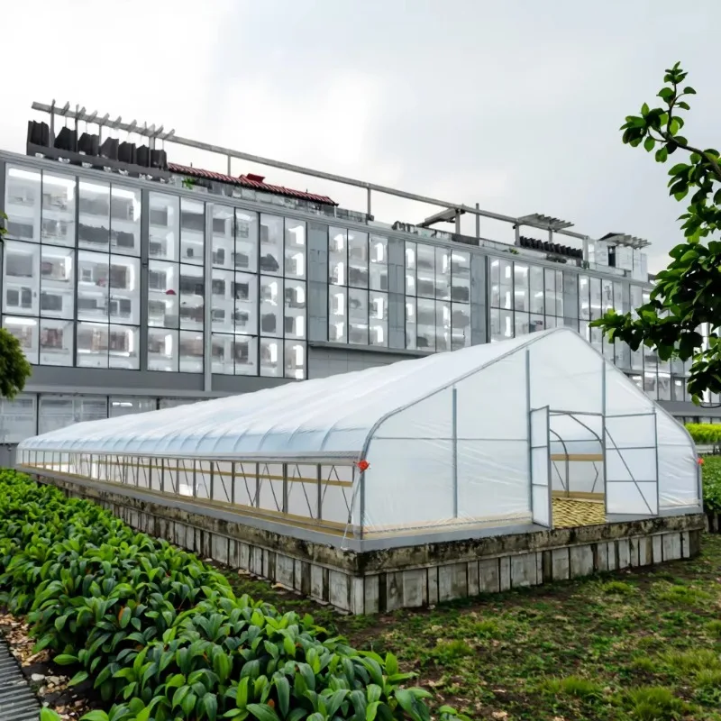 Tienda de campaña de jardín con invernadero de película de PE galvanizada W30ft L30ft H12ft, transmitancia de luz 92% para cultivo de plantas agrícolas