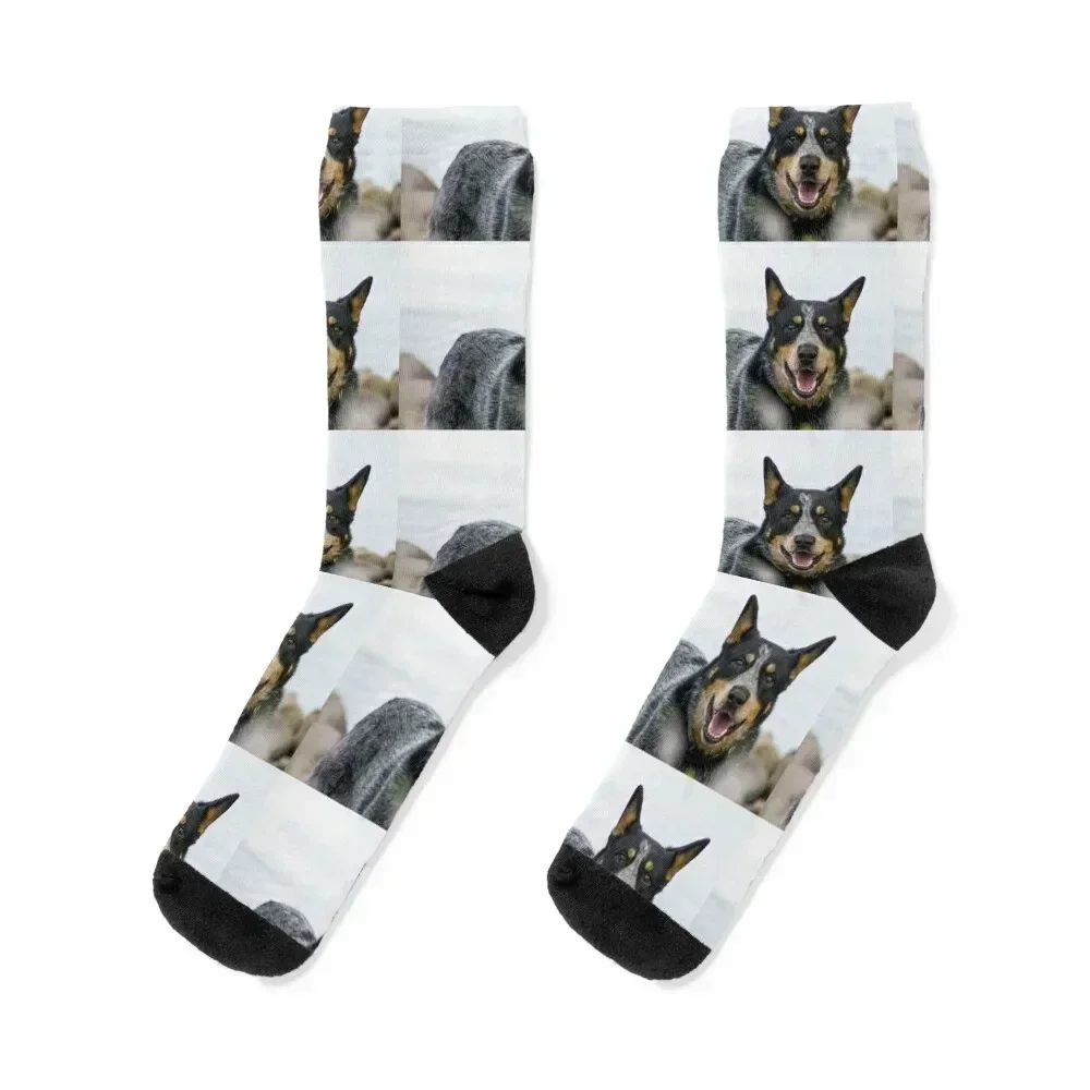 

226 blue Socks basketball bright garter kids kawaii Men Socks Luxury Brand Women's