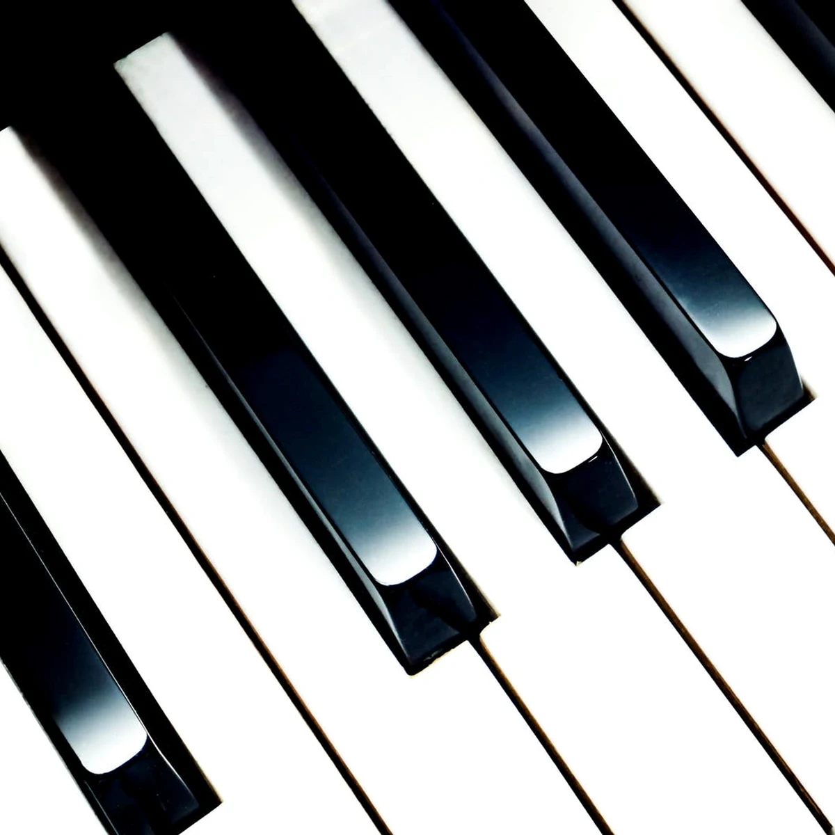 

Premium White for Piano Keytops Replacement Durable Sturdy Accessories Supplies Vertical Keyboard Parts
