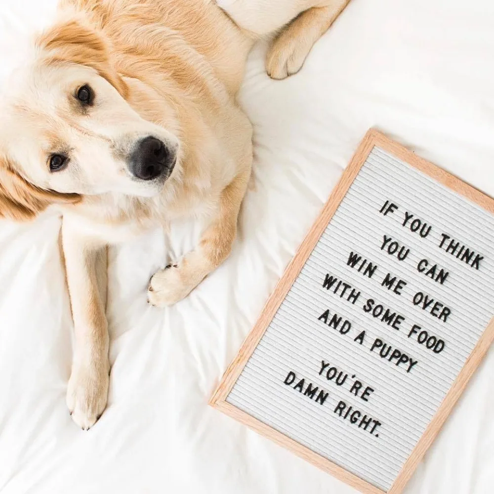 460 Letters Handmade Felt Board with Wood Frame for Wall Decor