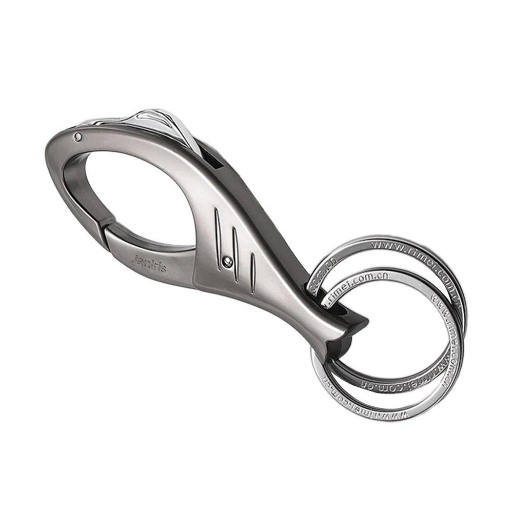 JanIris Key rings, 2 pcs Metal Keyring Key Chain Key Ring KeyChains Clip Key Chain Organizer for Home, Car, Key Finder