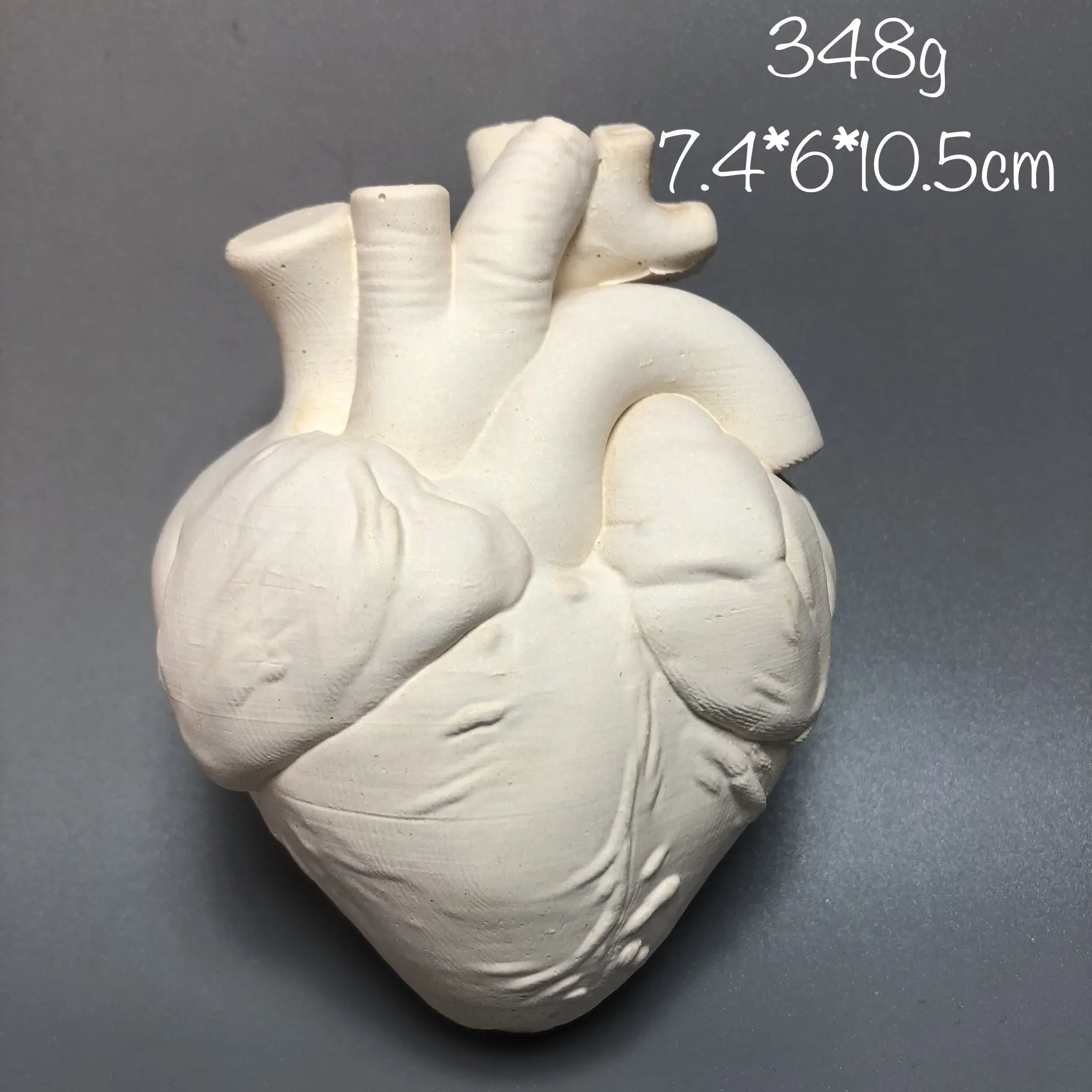Human Organ Heart Artistic Plaster Statue Creative Mini Sculpture Desktop Decoration DIY Coloring Crafts