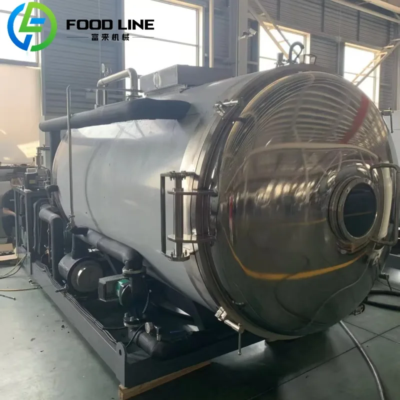 Industrial Freeze Dryer Commercial Vacuum Lyophilizer Food Processing Dryer System for Fruits Vegetables Factory Use Customized