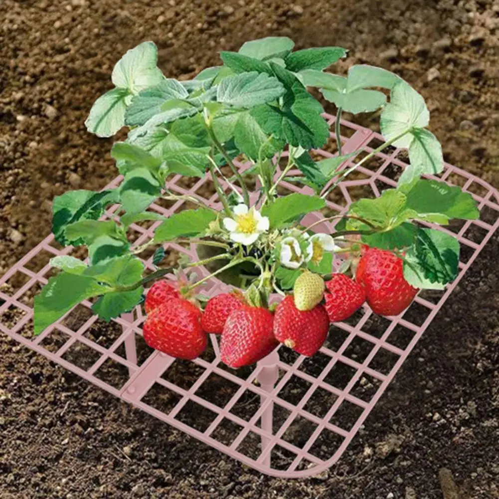 Strawberry Plant Support Fruit Growing Frame Waterproof Hollow Design Detachable Simple Installation Strawberry Growing Rack