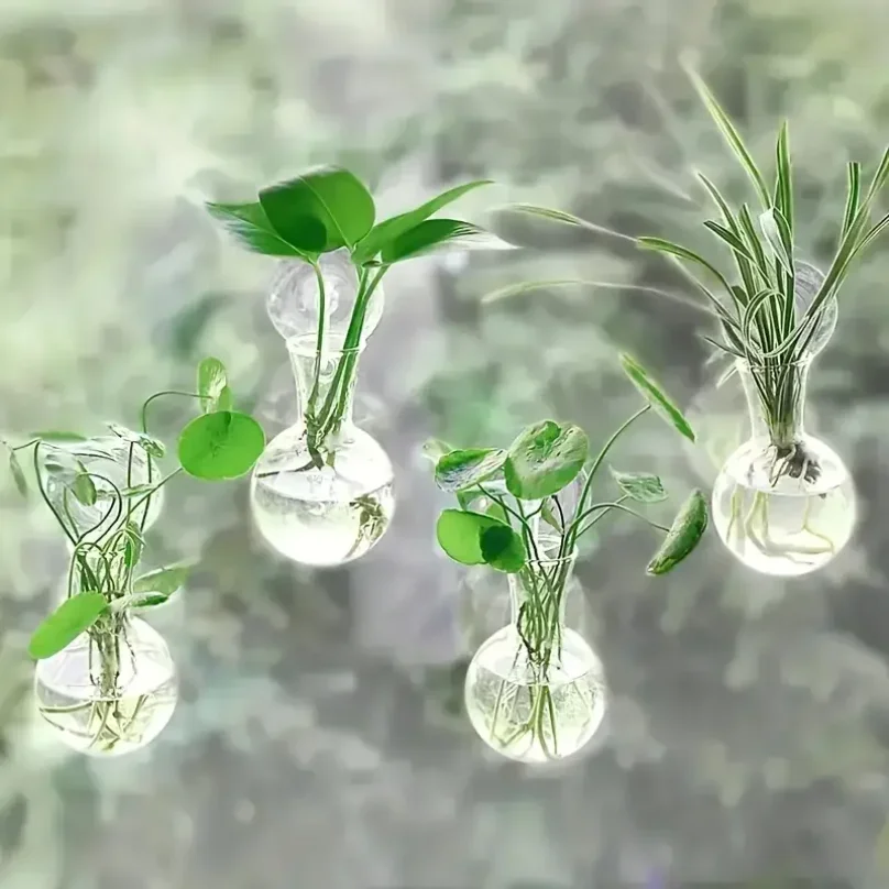 創造的な半円形の壁掛け花瓶フラワープレート植物水耕栽培水槽壁 - Aquarium Fish Green のレビューと価格