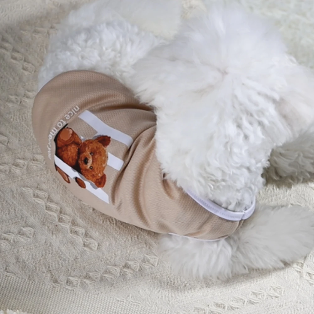 Spring/Summer Thin Pet Vest Handsome Cat and Dog Universal Cartoon Bear Print Candy Color Cute Pullover Clothes
