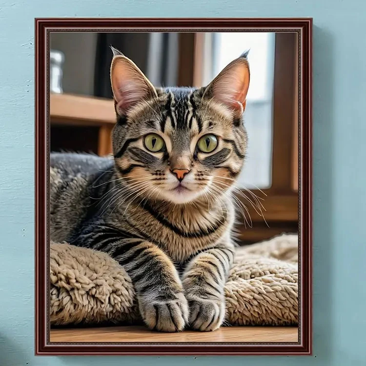 Katzen-Porträt, niedliches Tiermotiv, rund und quadratisch, 5D-Diamantmalerei-Set, Mosaik-Kreuzstich für Erwachsene, Wanddekoration, Geschenk