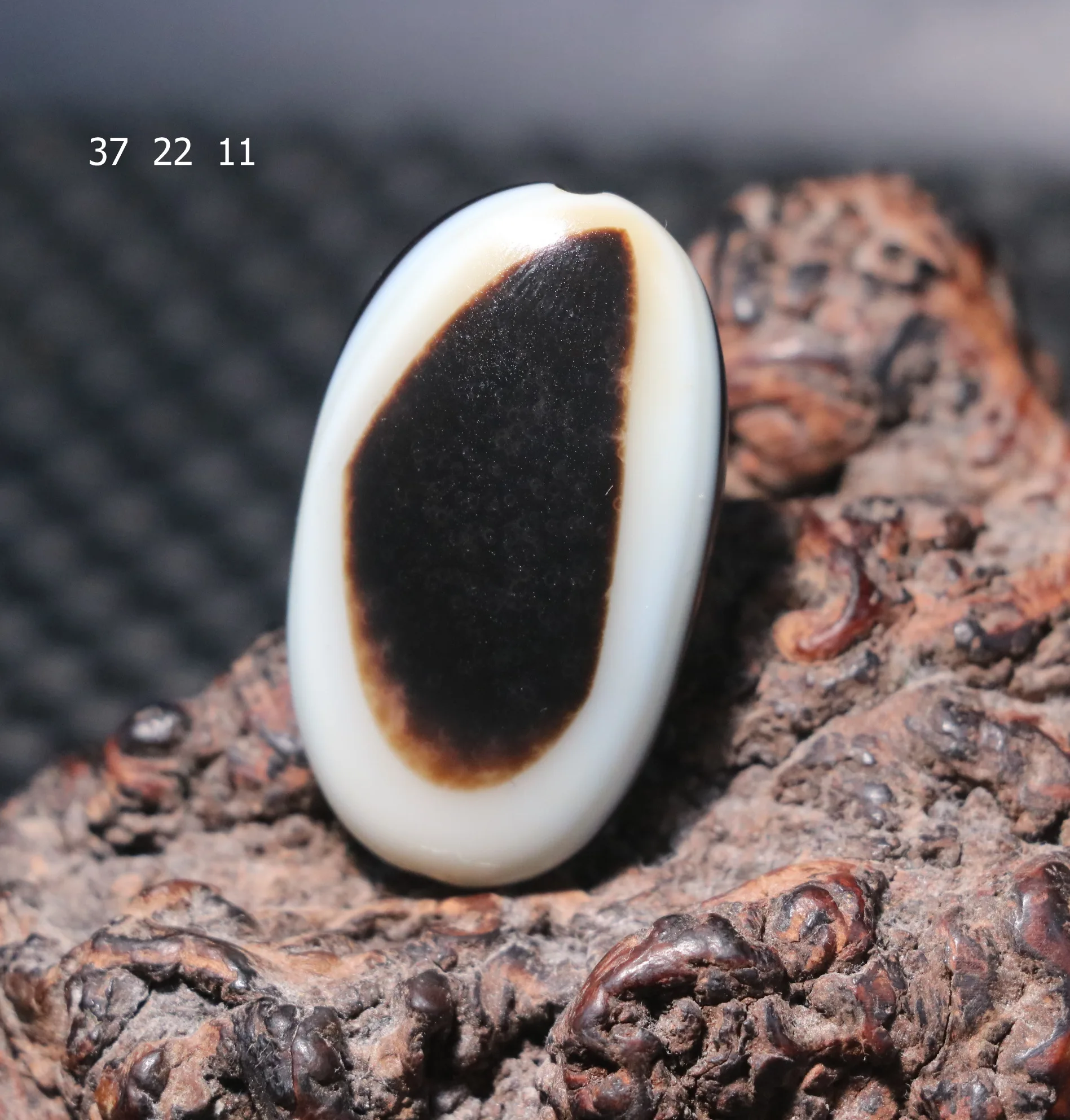 Magic Energy Tibetan Old Agate Goat Heaven Eye Small dZi Bead Pendant Amulet $$$ Timestown  AA