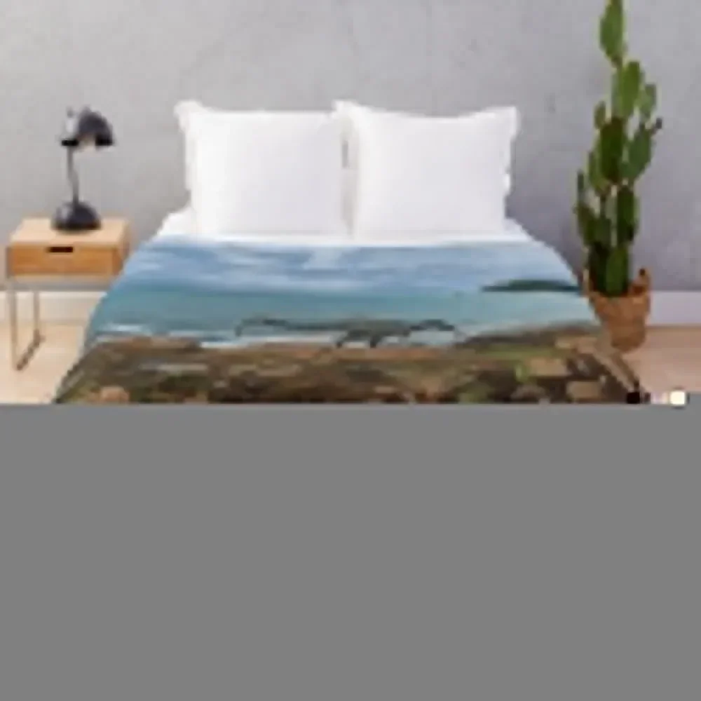 Baryonyx walkeri Throw Blanket Bed for winter decorative warm for winter Blankets