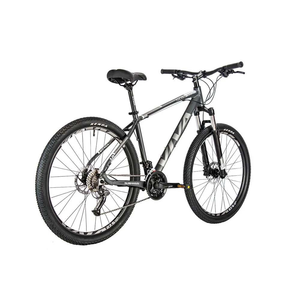 Best Selling Professional Mountain Bike 27speed China Mountain Bike Sports Mountain Bike