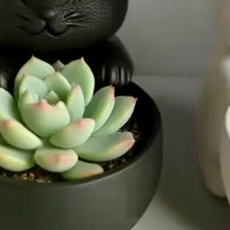 Cat-Shaped Pot With Drainage Holes Uniquely Designed For Succulents Small Flowers And Cacti Bedroom Offices Desktop Ornament