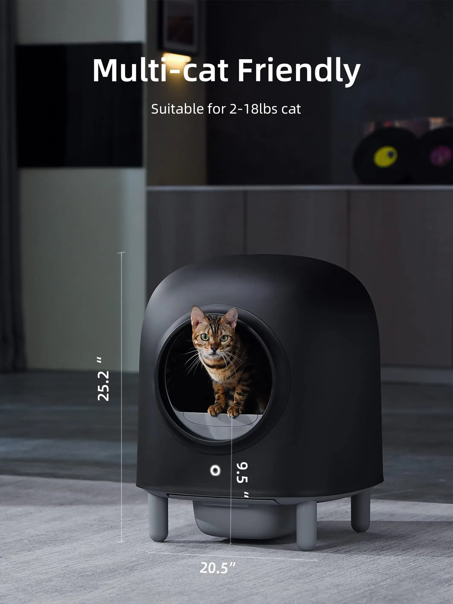 for Wholesale Electric Smart Home Petree Pet Self Cleaning Automatic Self Clean Black Cat Litter Box Toilet For Small Cats