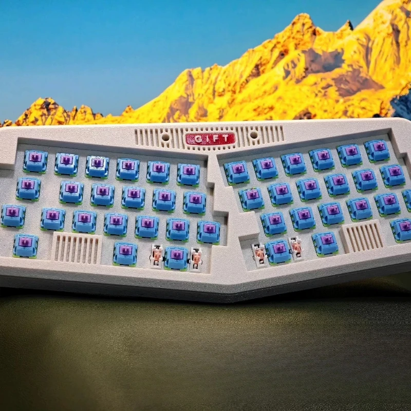 Alice Wired Keyboard Kit Custo - огляд і ціна Tablet Accessories 3D Print