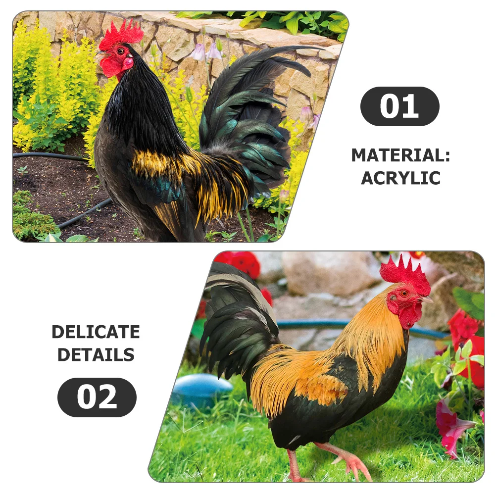 

1 set 1 Set Of Chicken Stake Decor, Yard Ornament For Outdoor Lawn Decoration, Durable Acrylic Animal Insert, Backyard Garden