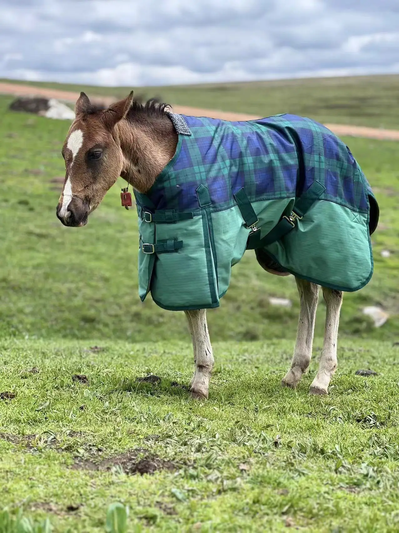 Horse Coat Winter Thickened Waterproof Breathable And Sweat-proof 600D Oxford Fabric Tear-resistant Hight Quality Horse Rug