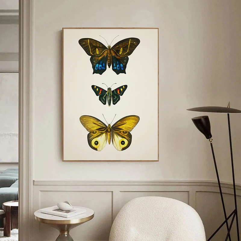 Vintage Butterfly Illustration Poster Vintage Insect Prints Canvas Painting Nature Wall  Pictures Home Living Room Decoration