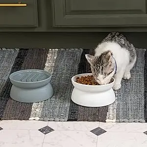 cat bowls