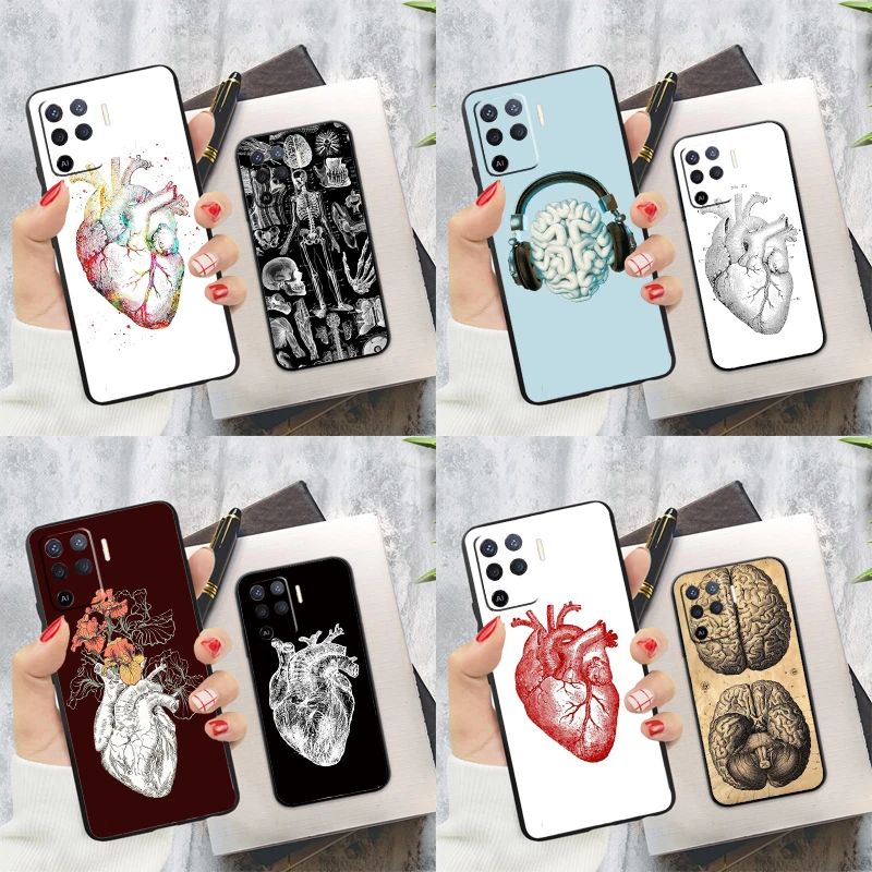 Human Heart Anatomy… - image