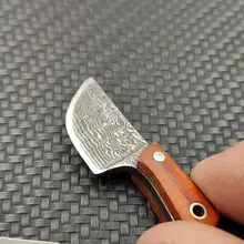 Mini Damascus Coating Kitchen Knife #2