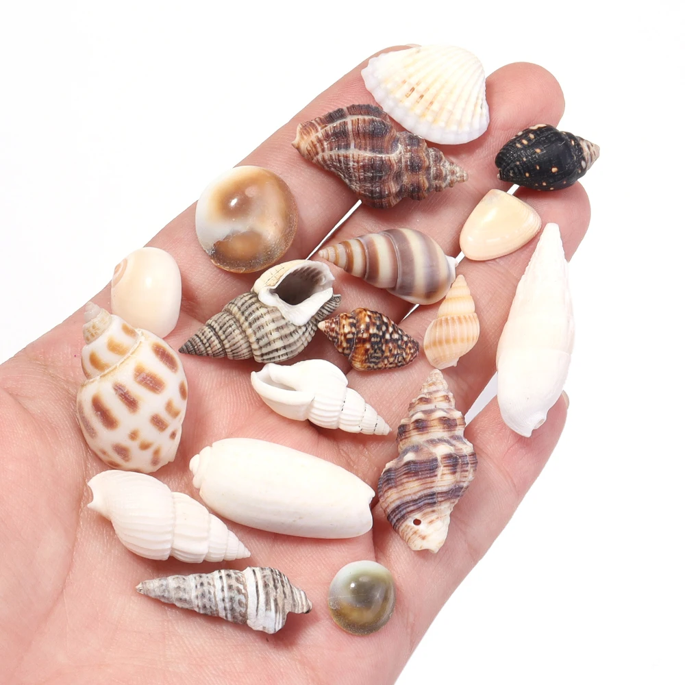 

40 г/лот, бусины-ракушки без отверстий, спиральные раковины, гребешок, улитка, свободные бусины для украшения аквариума «сделай сам», ювелирные аксессуары, реквизит для фотосъемки