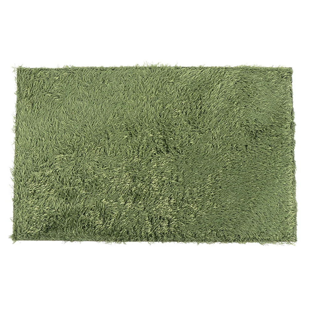 Lizard Reclining Pet Carpet Lawn Area Rugs Terrarium Cotton Tortoise Mat Crawl Pets Fake